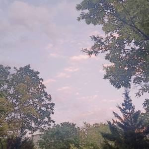 日本人真人姓交大视频男
